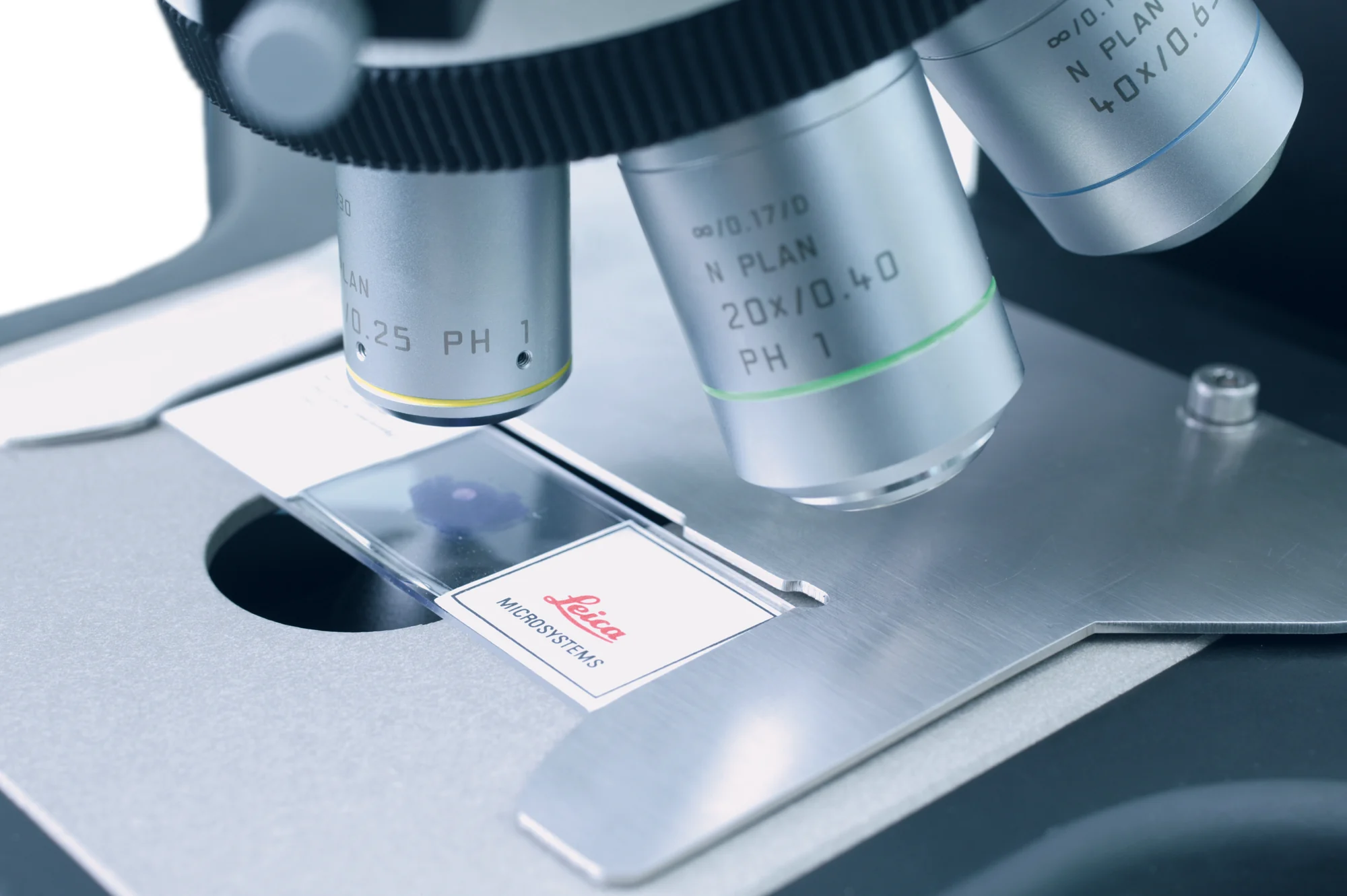 Leica mikroskop objektifleri ve incelenen laboratuvar numunesi