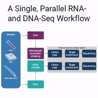 SureSelect XT HS2 DNA Reagent Kiti