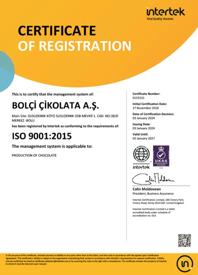 ISO 9001 belgesi
